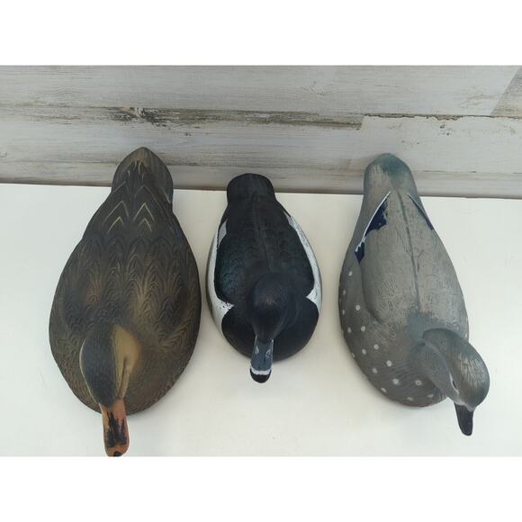 Greenhead Gear Duck Decoy Lot Of 3 Ringneck Drake Mallard Hen Wood Duck Hen - Picture 2 of 9